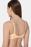 Intimacy Double layered Non Padded Non Wired Medium Coverage Everday T-shirt Bra (Pack of 3) - Multicolor — thumbnail 7
